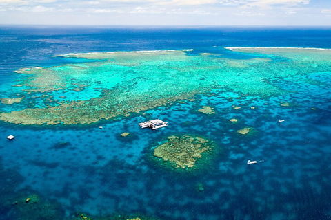 Quicksilver Outer Great Barrier Reef Snorkel Cruise From Palm Cove - Tourism Brisbane 4