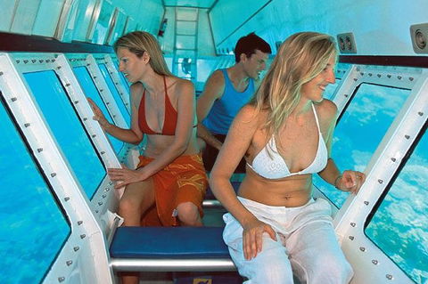 Quicksilver Outer Great Barrier Reef Snorkel Cruise From Palm Cove - Tourism Brisbane 5