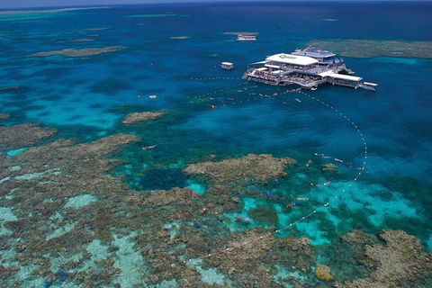 Ultimate 3-Day Great Barrier Reef Cruise Pass - Tourism Brisbane 3