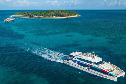 Ultimate 3-Day Great Barrier Reef Cruise Pass - Tourism Brisbane 4