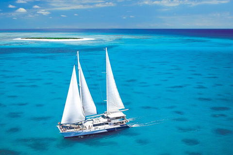 Ultimate 3-Day Great Barrier Reef Cruise Pass - Tourism Brisbane 5