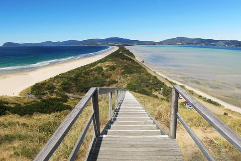 Bruny Island Private Charter Service - Tourism Brisbane 4