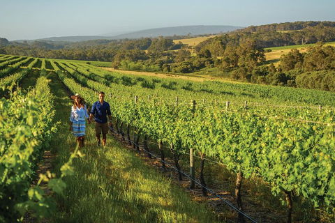 6 Days Perth All-Inclusive Touring Package With Wildflowers ( Seasonal) - Tourism Brisbane 4