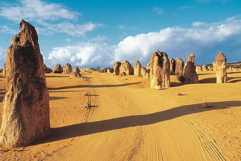 6 Days Perth All-Inclusive Touring Package With Wildflowers ( Seasonal) - Tourism Brisbane 5