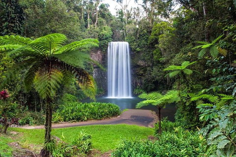 Cairns & Port Douglas All-Inclusive 7 Days Touring Package - Tourism Brisbane 2