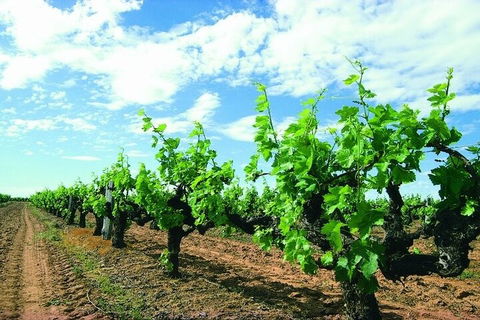 7 Days Perth All-Inclusive Touring Grand Package - Tourism Brisbane 2