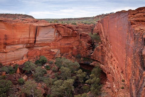 Uluru, Kata Tjuta And Kings Canyon Camping Safari From Ayers Rock - Brisbane Tourism 1