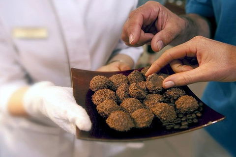 Explore Adelaide City Tour: Haigh's Tasting Chocolate & Adelaide Oval Tour - Tourism Brisbane 2