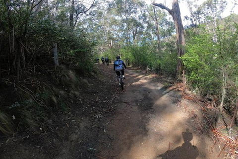 Explore Downhill Mountain In 3-Hour Bike Tour From Hobart - Tourism Brisbane 3