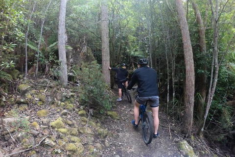 Explore Downhill Mountain In 3-Hour Bike Tour From Hobart - Tourism Brisbane 4