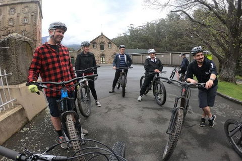 Explore Downhill Mountain In 3-Hour Bike Tour From Hobart - Tourism Brisbane 5