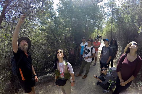 Active Day Tour One-Way From Launceston To Hobart Via Wineglass Bay - Tourism Brisbane 0
