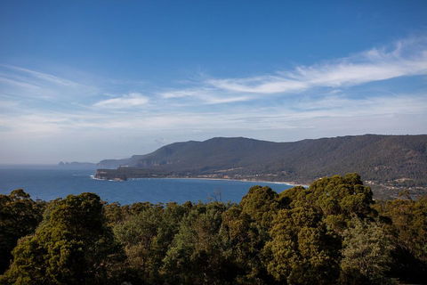 Port Arthur And Tassie Devils Active Day Tour From Hobart - Tourism Brisbane 5