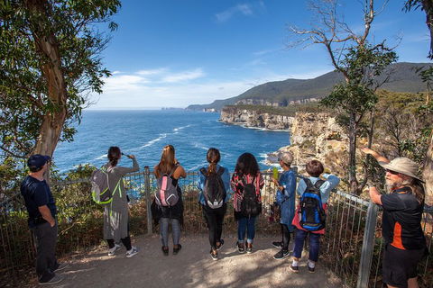 Port Arthur And Lavender Active Day Tour - Tourism Brisbane 0