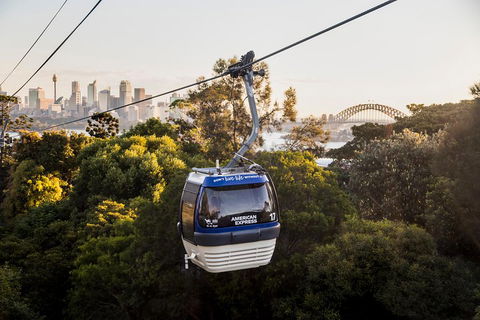 Australia Multi-City Attractions Pass - Tourism Brisbane 5