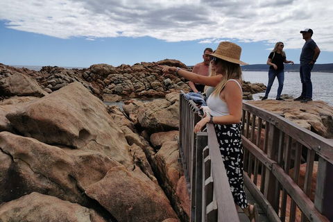Margaret River Impression Day Tour From Perth - Tourism Brisbane 4