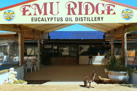 Full-Day Kangaroo Island Safari From Penneshaw - Tourism Brisbane 2