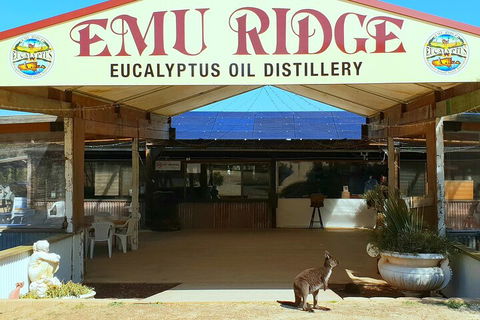 2-Day Kangaroo Island Safari From Adelaide - Tourism Brisbane 4