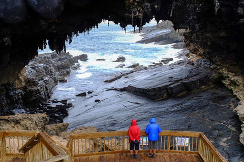 2-Day Kangaroo Island Safari From Adelaide - Tourism Brisbane 5