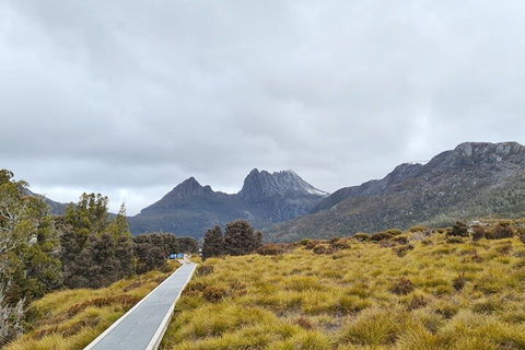 Cradle Mountain National Park Day Tour From Launceston - Tourism Brisbane 2