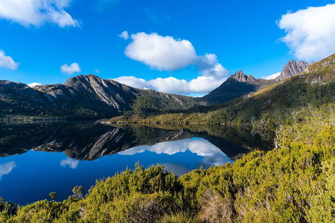 Cradle Mountain National Park Day Tour From Launceston - Tourism Brisbane 3