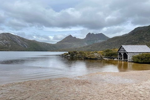 Cradle Mountain National Park Day Tour From Launceston - Tourism Brisbane 4