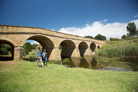 Bonorong Wildlife Park And Richmond Afternoon Tour From Hobart - Tourism Brisbane 0