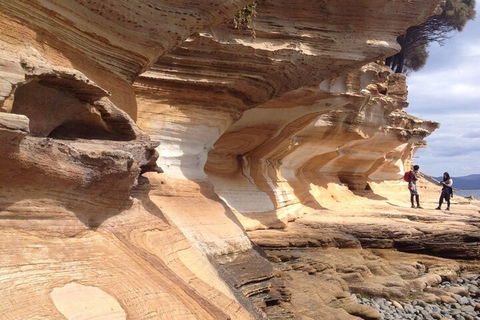 Hobart Minibus Full-Day Private Tour - Tourism Brisbane 0