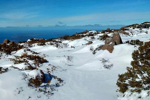 Mt Wellington Ultimate Experience Tour From Hobart - Tourism Brisbane 4