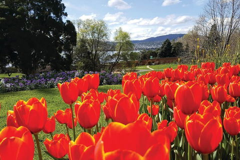 Hobart Half-Day Sightseeing Coach Tram Tour - Tourism Brisbane 4