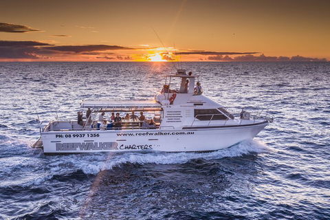 Kalbarri Sunset Coastal Cliff Cruise - Tourism Brisbane 2
