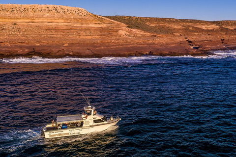Kalbarri Sunset Coastal Cliff Cruise - Tourism Brisbane 4