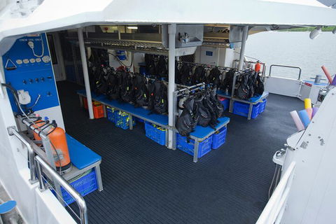 Silverswift Outer Great Barrier Reef Dive And Snorkel Cruise From Cairns - Tourism Brisbane 0