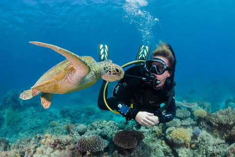 Silverswift Outer Great Barrier Reef Dive And Snorkel Cruise From Cairns - Tourism Brisbane 2