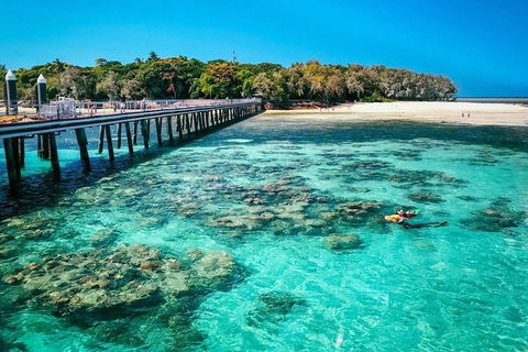 Green Island Discovery Including Glass Bottom Boat Tour Departing Cairns - Tourism Brisbane 4