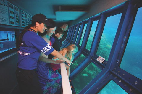 Great Barrier Reef Adventure From Cairns - Tourism Brisbane 0