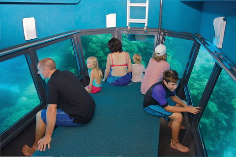 Great Barrier Reef Adventure From Cairns - Tourism Brisbane 1