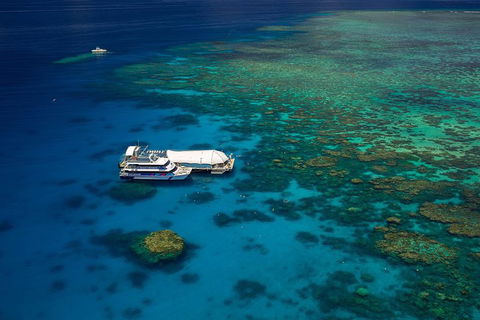 Great Barrier Reef Adventure From Cairns - Tourism Brisbane 4