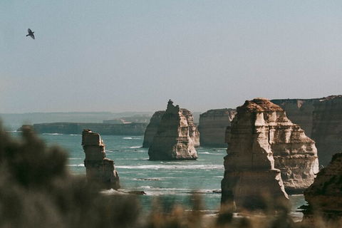Half-Day Or Full-Day Tour With Private Guide From Melbourne - Tourism Brisbane 0