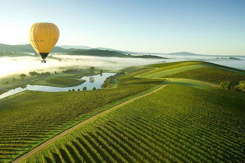 Half-Day Or Full-Day Tour With Private Guide From Melbourne - Tourism Brisbane 4