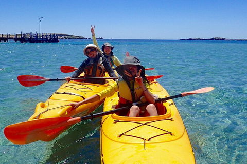 Penguin And Seal Islands Sea Kayaking Experience - Tourism Brisbane 4