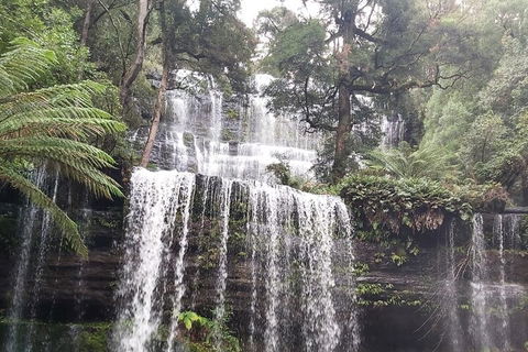 6-Day Hearty Tasmania Tour (Tasmania In A Circle) - Tourism Brisbane 0