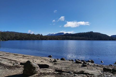 6-Day Hearty Tasmania Tour (Tasmania In A Circle) - Tourism Brisbane 1