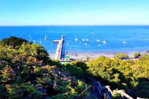 Mornington Peninsula Sightseeing Tour For 2-6 Guests. - Tourism Brisbane 1