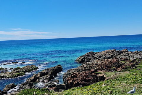 Private Custom Byron Bay Day Out - Tourism Brisbane 4