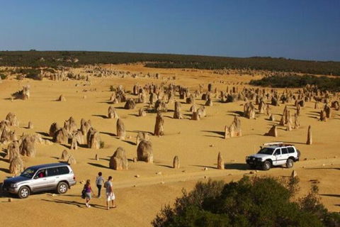 1-Day Pinnacles And Yanchep Tour From Perth Including Fish And Chips Lunch - Tourism Brisbane 0