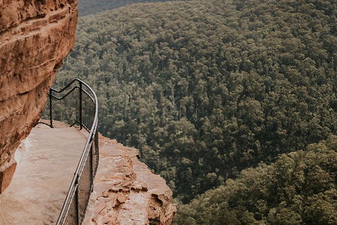 Private Blue Mountains And Wildlife Park Tour From Sydney With Barbecue Lunch - Tourism Brisbane 5