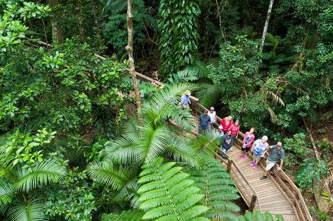 2 Day Daintree Rainforest, Cape Tribulation And Outback Chillagoe Tour - Tourism Brisbane 3