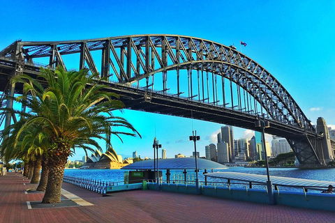Sydney Half Day Tour With A Local: 100% Personalized & Private â˜…â˜…â˜…â˜…â˜… - Tourism Brisbane 1