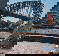 The Rocks  Darling Harbour With A Local Private  Personalized - Tourism Brisbane